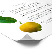 薬草：レモン |価値紙ポスター ポスター (角)