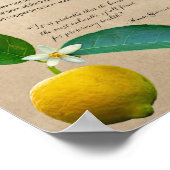 薬草:レモン |植物学ポスター ポスター (角)