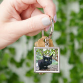 薮の下に隠れている警告された猫 キーホルダー (手)