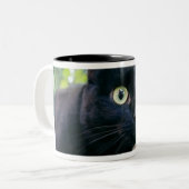 薮の下に隠れている警告された猫 ツートーンマグカップ (正面左)