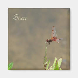 藁に乗った赤いトンボ マグネット