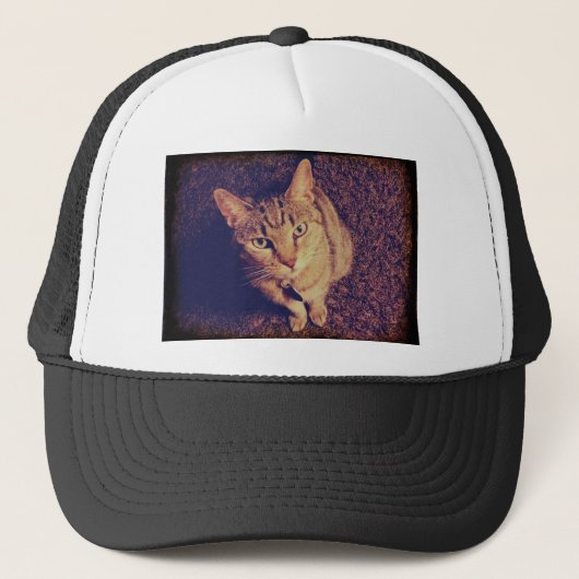 藍の要求 キャップ (正面)