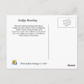 藍束 ポストカード (裏面)