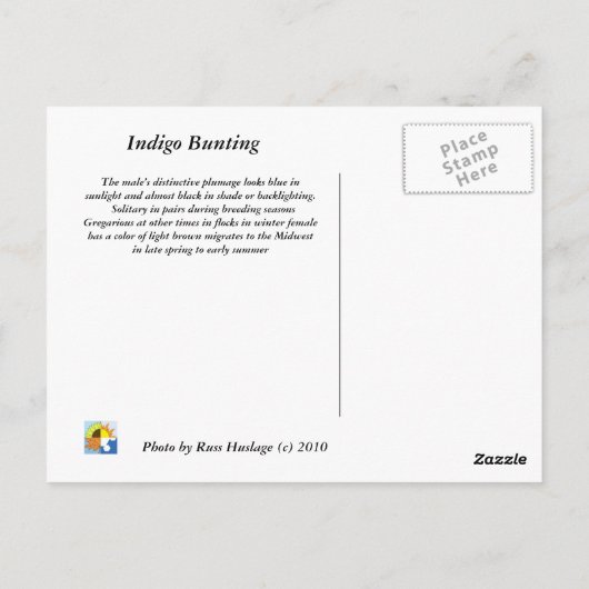 藍束 ポストカード (裏面)