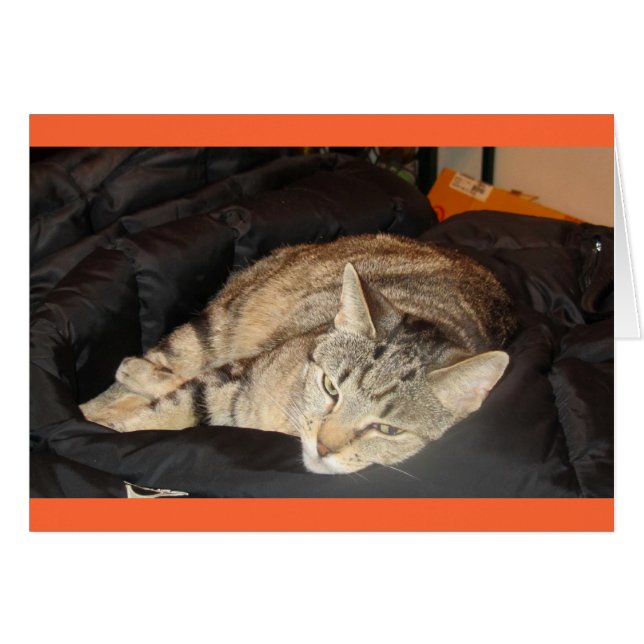 藍染めの時間 (正面横)