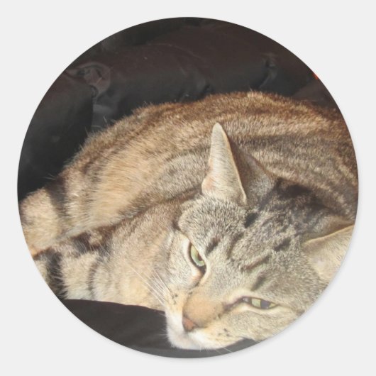 藍染めの時間 ラウンドシール (正面)