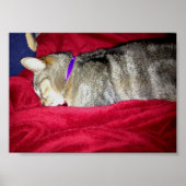 藍染め ポスター (正面)