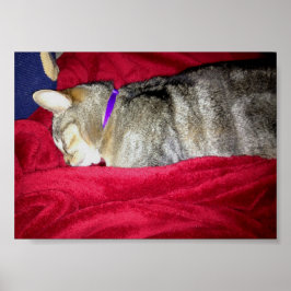 藍染め ポスター