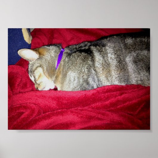 藍染め ポスター (正面)