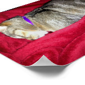 藍染め ポスター (角)