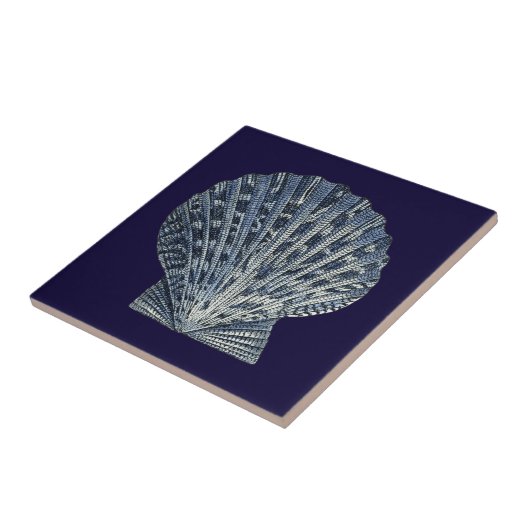 藍貝八号 タイル (側面)