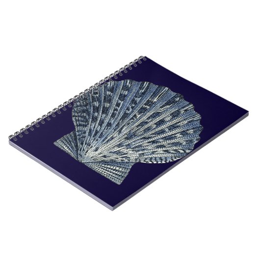 藍貝八号 ノートブック (左側)