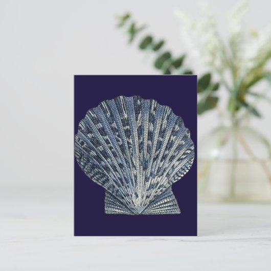 藍貝八号 ポストカード (スタンド正面)