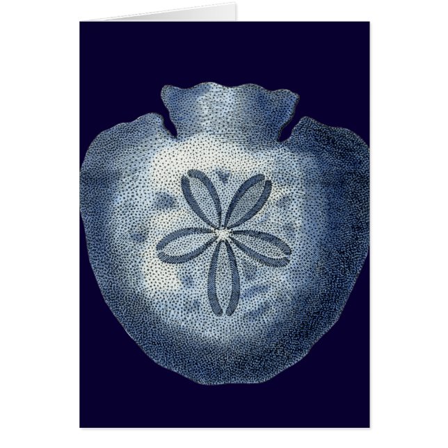 藍貝殻III (正面)