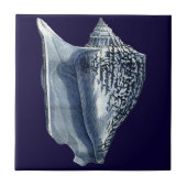 藍貝類 タイル (正面)