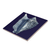 藍貝類 タイル (側面)