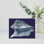 藍貝類 ポストカード (スタンド正面)