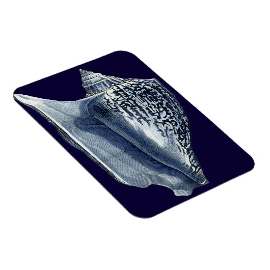 藍貝類 マグネット (右側)