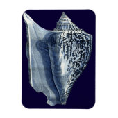 藍貝類 マグネット (縦)