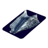 藍貝類 マグネット (左側)