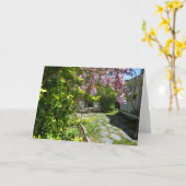 藤とロッキングチェア – Martha's Vineヤード カード (黄色い花)