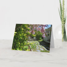 藤とロッキングチェア – Martha's Vineヤード