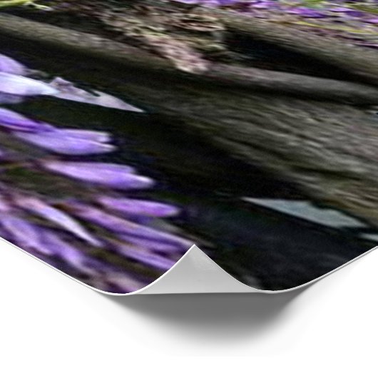 藤と大きな鳥の夢の風景テーマポスター ポスター (角)