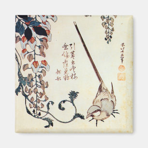 藤にセキレイ,北斎ワッテールと藤，北斎，浮世絵 マグネット
