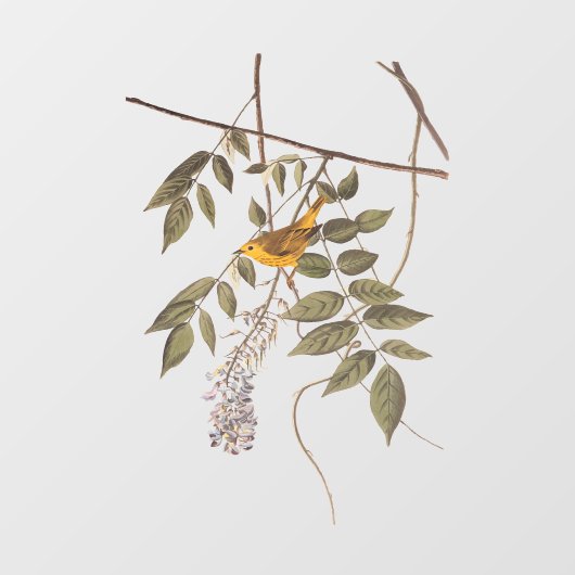 藤に青い目の黄色いコウノトリ ウィンドウサイン (シート)