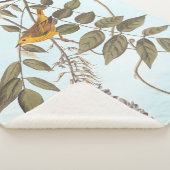 藤に青い目の黄色いコウノトリ シェルパブランケット (3/4)