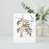 藤に青い目の黄色いコウノトリ ポストカード (スタンド正面)