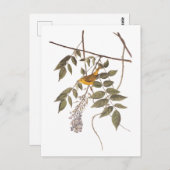 藤に青い目の黄色いコウノトリ ポストカード (正面/裏面)