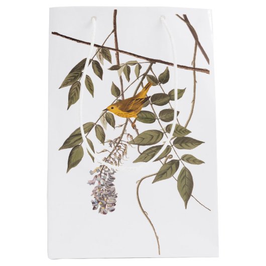 藤に青い目の黄色いコウノトリ ミディアムペーパーバッグ (正面)