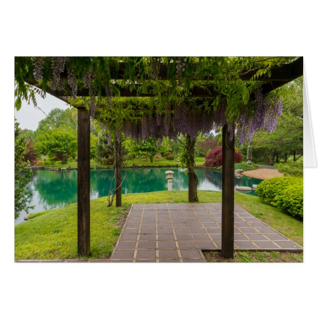 藤のペルゴラ (正面横)