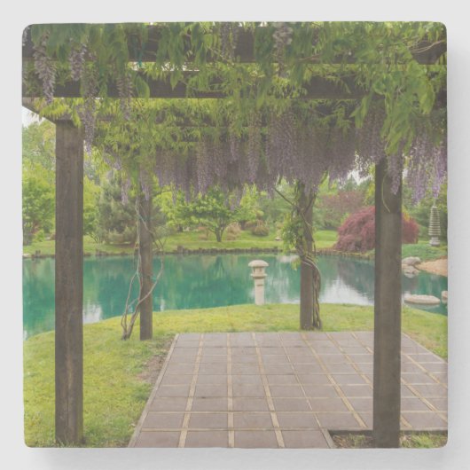 藤のペルゴラ ストーンコースター (正面)