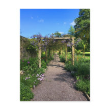 藤の中を歩くこと