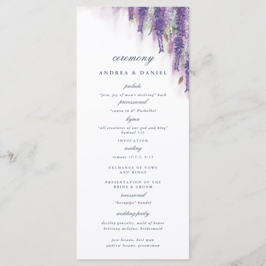 藤の夢 プログラム (正面)