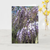 藤の空白のな挨拶状 カード (黄色い花)