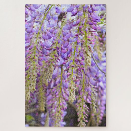 藤の紫の花の木 ジグソーパズル (縦)