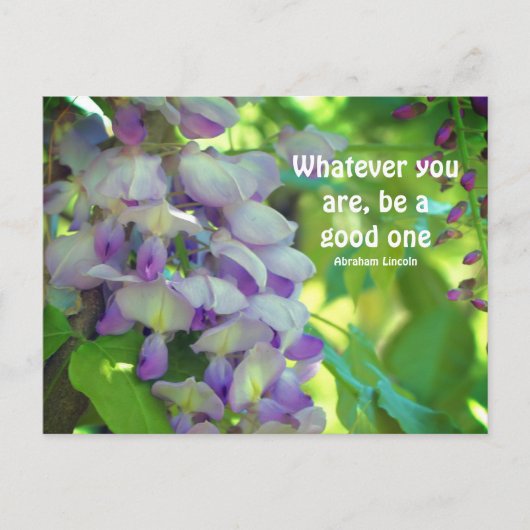 藤の花態度引用文  ポストカード (正面)
