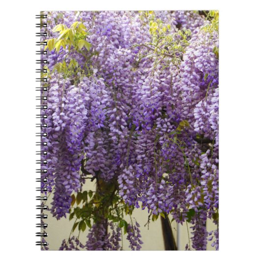 藤の花 ノートブック (正面)