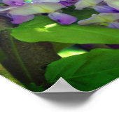 藤の花 ポスター (角)