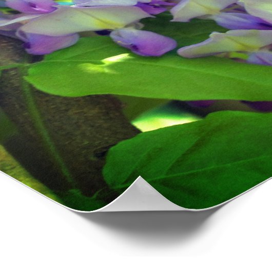 藤の花 ポスター (角)