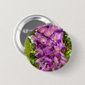 藤の開花バッジ 缶バッジ (正面&裏面)