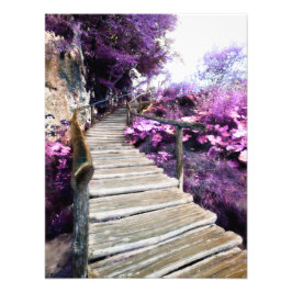 藤の階段 フォトプリント           