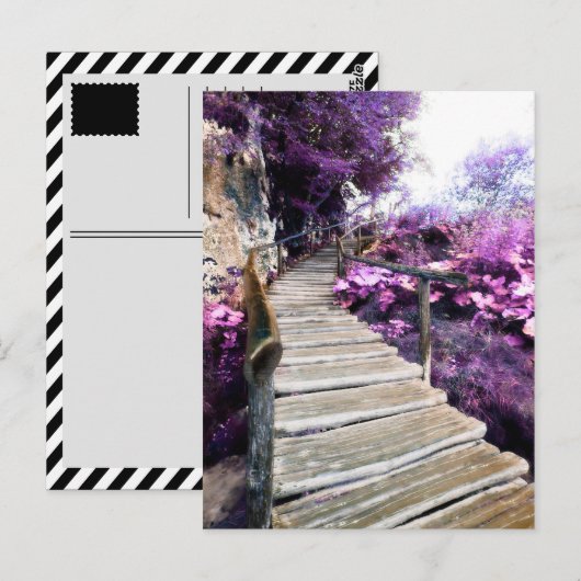 藤の階段 ポストカード (正面/裏面)