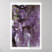 藤もポスター ポスター (正面)