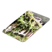 藤コテージ マグネット (左側)