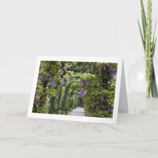 藤折りグリーティングカ空白のード カード (正面)