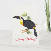 藤泉 カード (正面)